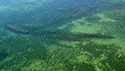 Garden Island aerial