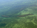 Garden Island aerial