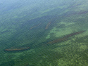 Garden Island aerial