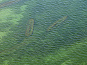 Garden Island aerial