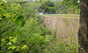 Rideau Canal, Jones Falls Stone Dam
