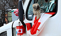 Ottawa Trucker blockade