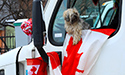 Ottawa Trucker blockade