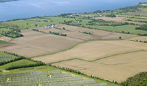 Fredericksburgh and Adolphustown