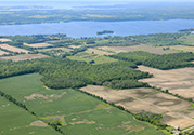 Fredericksburgh and Adolphustown