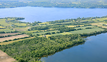 Fredericksburgh and Adolphustown