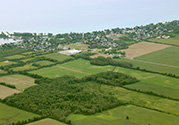 Wellington Area, Prince Edward County