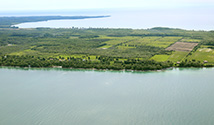 Salmon Point, Prince Edward County
