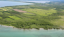 Salmon Point, Prince Edward County