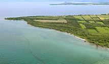 Salmon Point, Prince Edward County