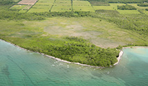 Salmon Point, Prince Edward County