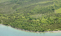South Shore, Prince Edward County