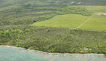 South Shore, Prince Edward County