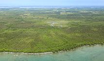 South Shore, Prince Edward County