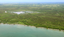 South Shore, Prince Edward County