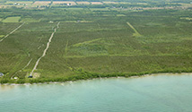 South Shore, Prince Edward County