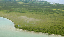 South Shore, Prince Edward County