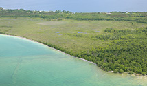 South Shore, Prince Edward County