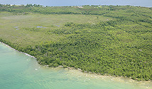 South Shore, Prince Edward County