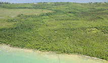 South Shore, Prince Edward County