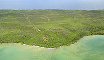 South Shore, Prince Edward County