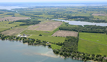 Wolfe Island, Kingston