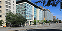 Elgin Street , Ottawa