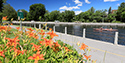 Rideau Canal, Ottawa