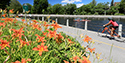 Rideau Canal, Ottawa