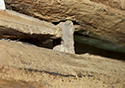 Moses Hudgin Log House