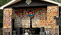 Sandbanks Music Festival... General Activities