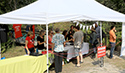 Sandbanks Music Festival... General Activities