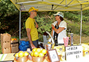 Sandbanks Music Festival... General Activities