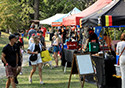 Sandbanks Music Festival... General Activities