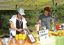 Sandbanks Music Festival... General Activities