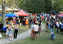 Sandbanks Music Festival... General Activities