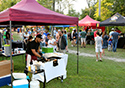 Sandbanks Music Festival... General Activities