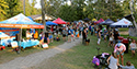Sandbanks Music Festival... General Activities