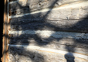 Moses Hudgin Log House