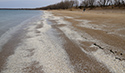 Rotary Outlet Beach Clean-up
