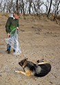 Rotary Outlet Beach Clean-up