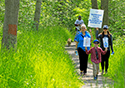 PEC Alheimer's Walk 2023