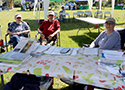 SSJI June 2026 Environmental Fair