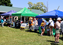 SSJI June 2026 Environmental Fair