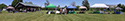 SSJI June 2026 Environmental Fair