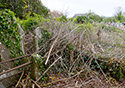 Cloyne, County Cork, Ireland, Ireland