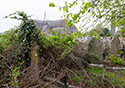 Cloyne, County Cork, Ireland, Ireland