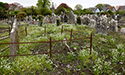 Cloyne, County Cork, Ireland, Ireland