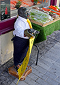 Clonakilty, County Cork, Ireland